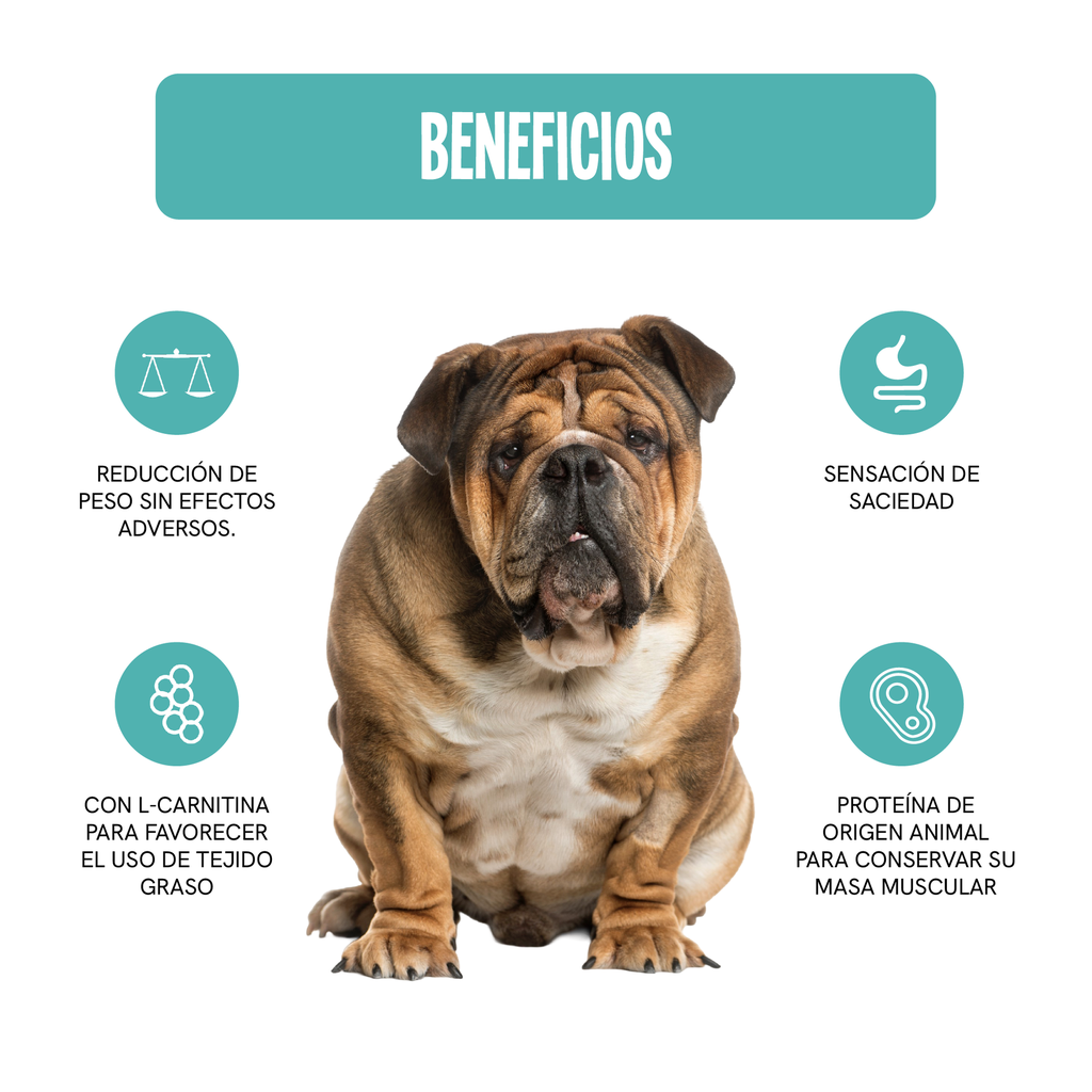 Fichas Tecnicas Productos-18.webp
