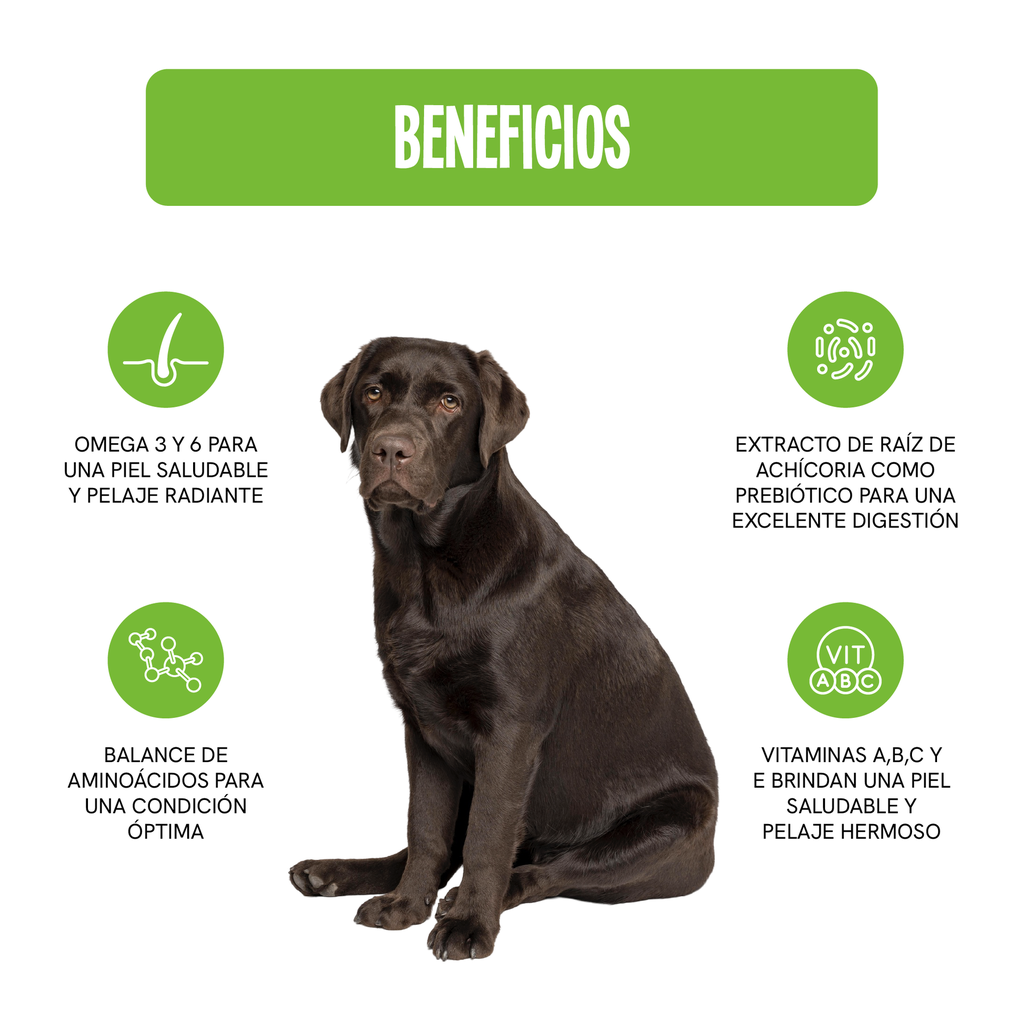 Fichas Tecnicas Productos-02.webp