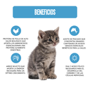 Fichas Tecnicas Productos-40.webp