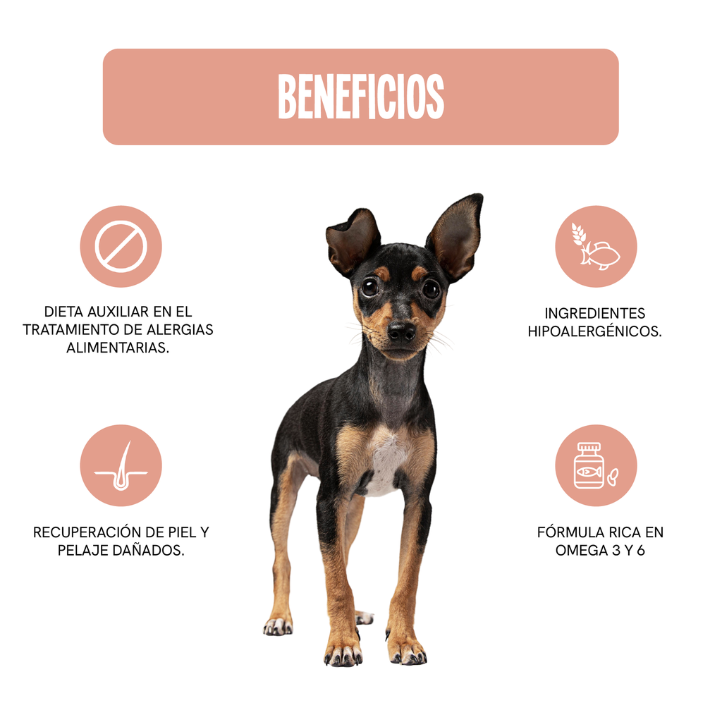 Fichas Tecnicas Productos-85.webp