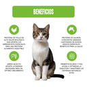 Fichas Tecnicas Productos-10.webp