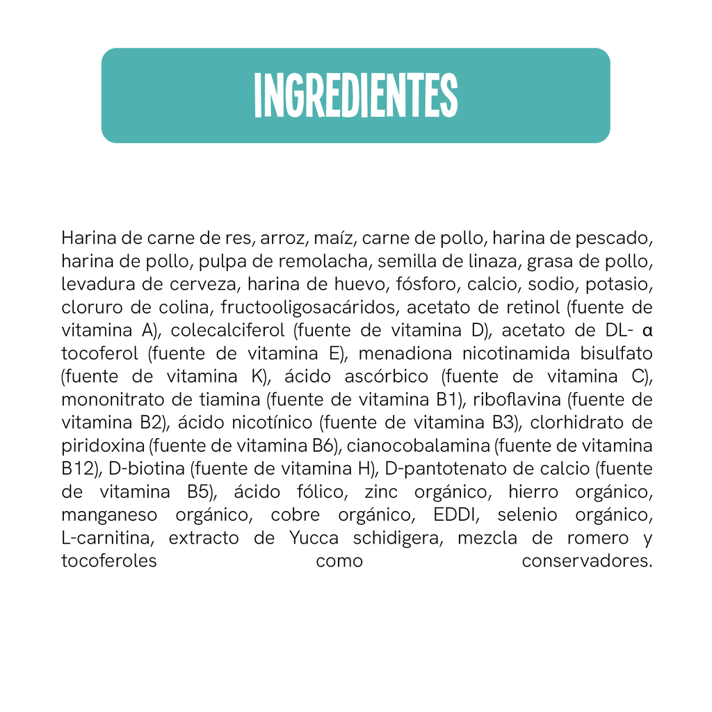 Fichas Tecnicas Productos-88.webp