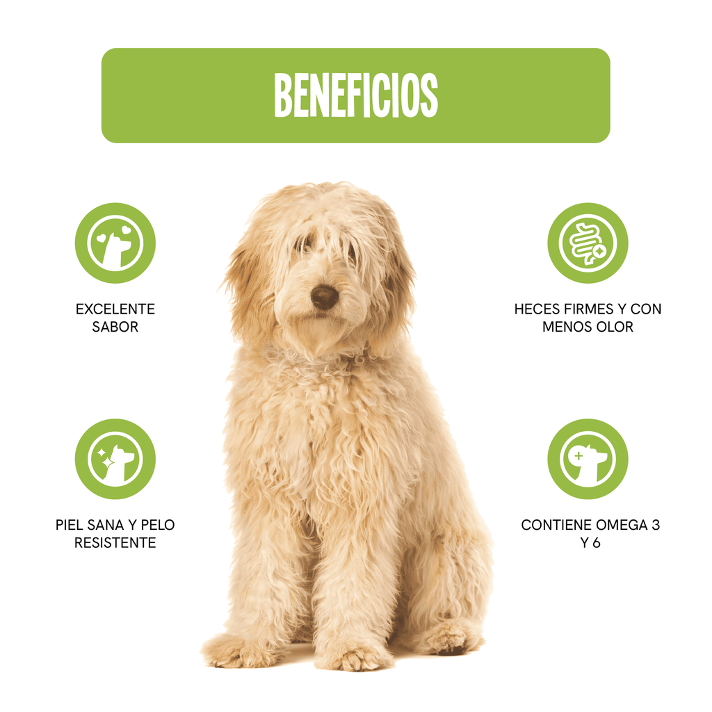 Fichas Tecnicas Productos-97.webp