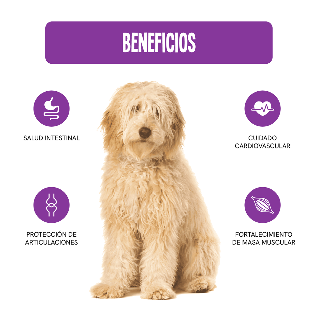 Fichas Tecnicas Productos-101.webp
