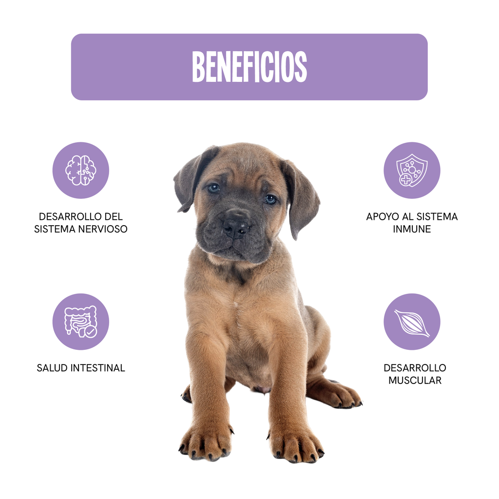 Fichas Tecnicas Productos-105.webp