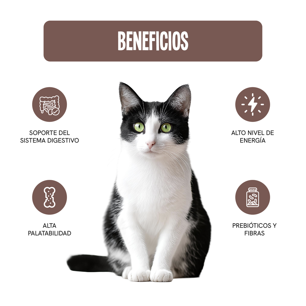 Fichas Tecnicas Productos-109.webp
