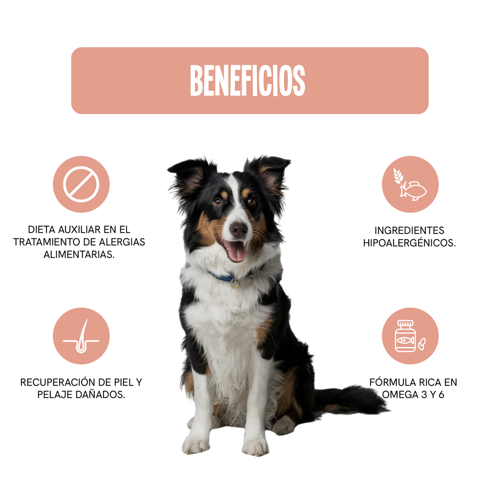 Fichas Tecnicas Productos-113.webp