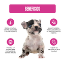Fichas Tecnicas Productos-30.webp