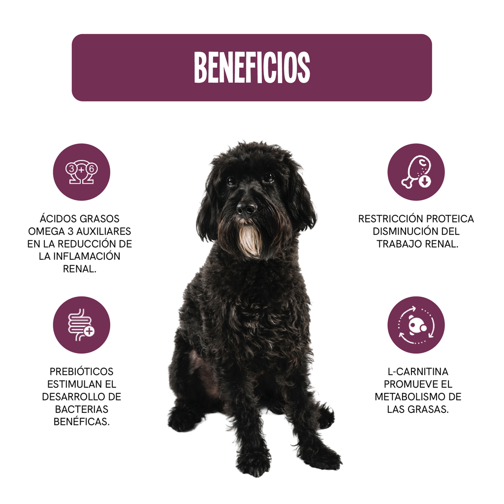Fichas Tecnicas Productos-44.webp