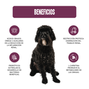 Fichas Tecnicas Productos-44.webp