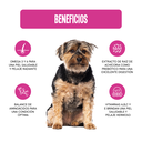 Fichas Tecnicas Productos-22.webp