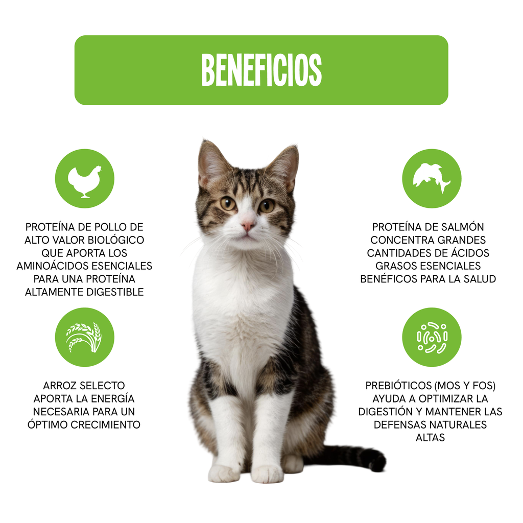 Fichas Tecnicas Productos-10.webp