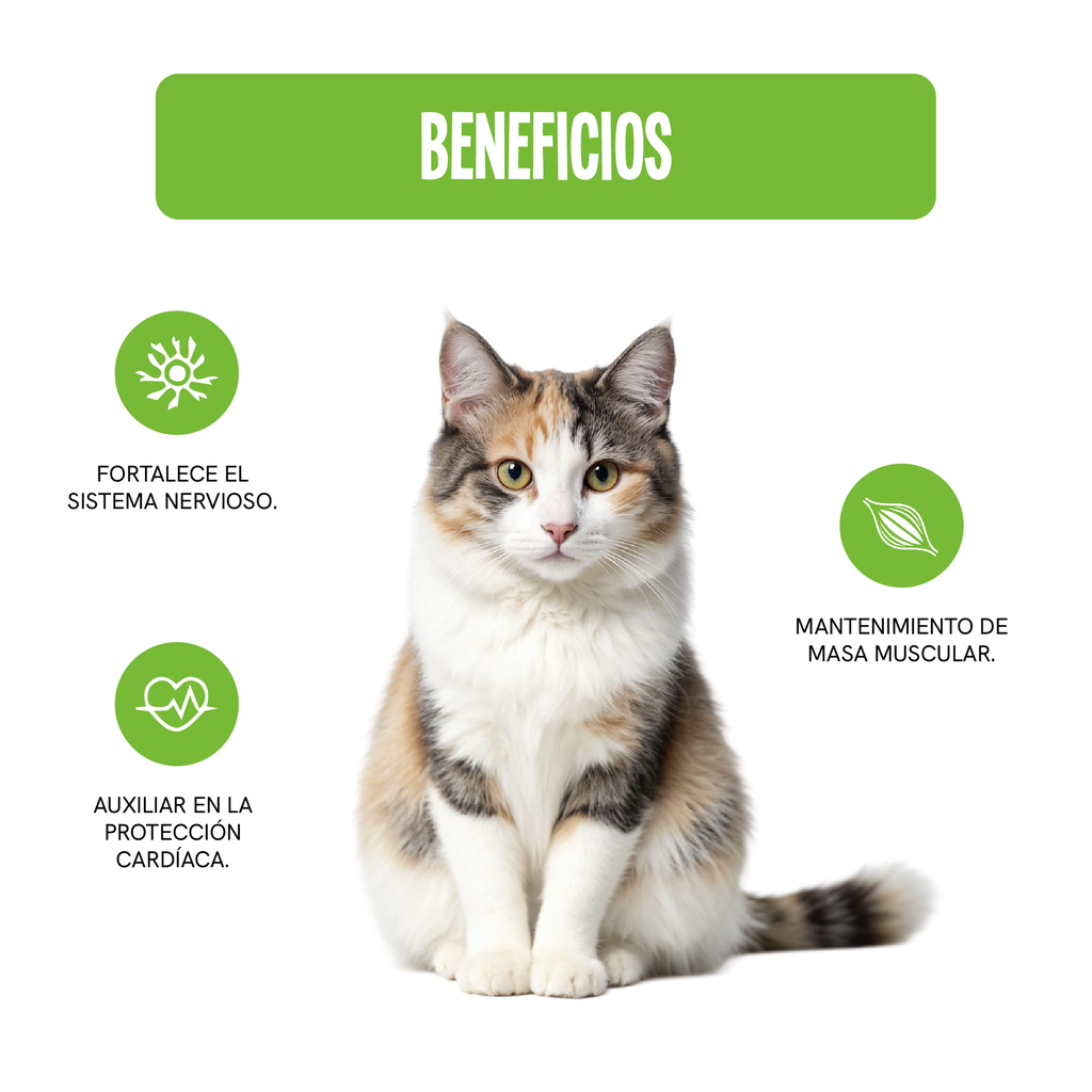 Fichas Tecnicas Productos-52.webp