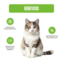 Fichas Tecnicas Productos-52.webp