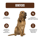 Fichas Tecnicas Productos-14.webp