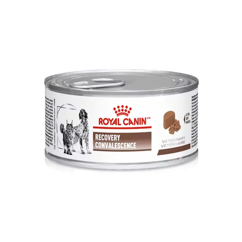 [RCVET-HM-RVRY-145G] Royal Canin Prescripcion Alimento Humedo Recovery para Perro y Gato Adulto 145 g